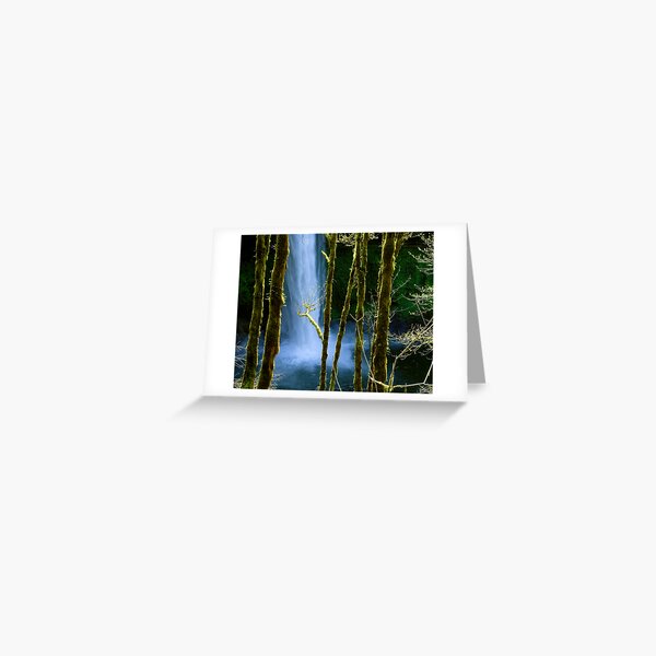 Item preview, Silver Creek Falls designed and sold by Zane Paxton.