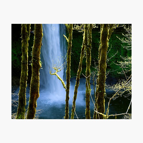 Item preview, Silver Creek Falls designed and sold by Zane Paxton.