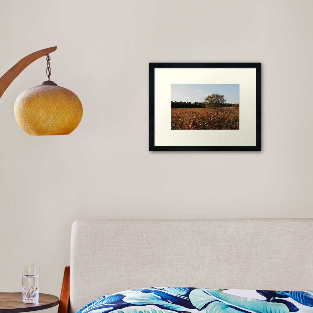 Where blueberry leaves glow Framed Art Print