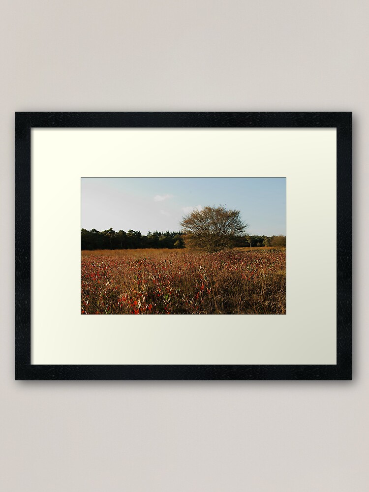 Alternate view of Where blueberry leaves glow Framed Art Print