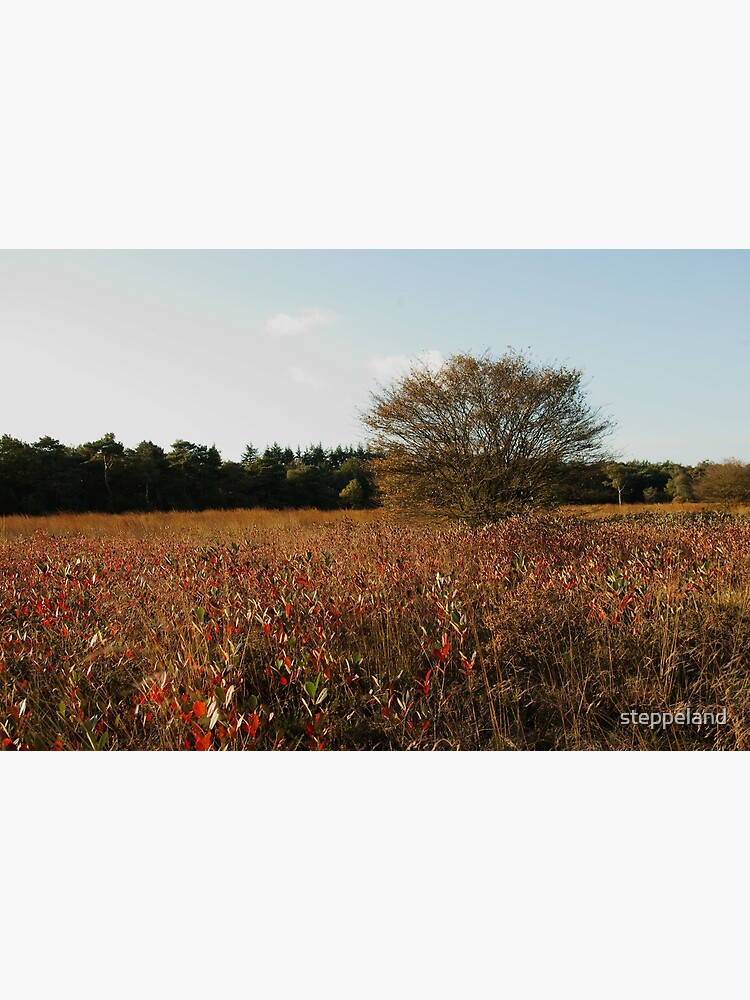 Where blueberry leaves glow by steppeland