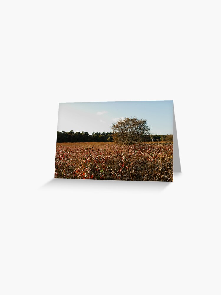 Thumbnail 1 of 2, Greeting Card, Where blueberry leaves glow designed and sold by steppeland.