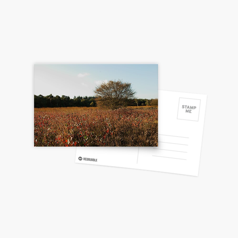 Item preview, Postcard designed and sold by steppeland.