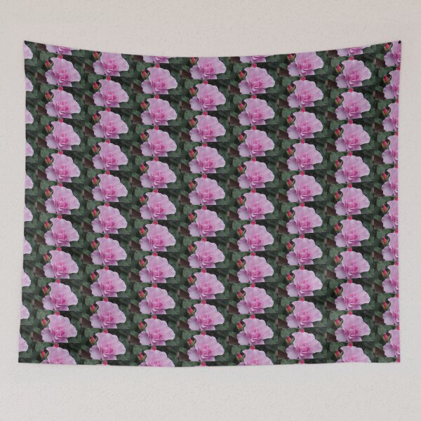 Item preview, Bewitched Hybrid Tea Rose designed and sold by Robert Armendariz.