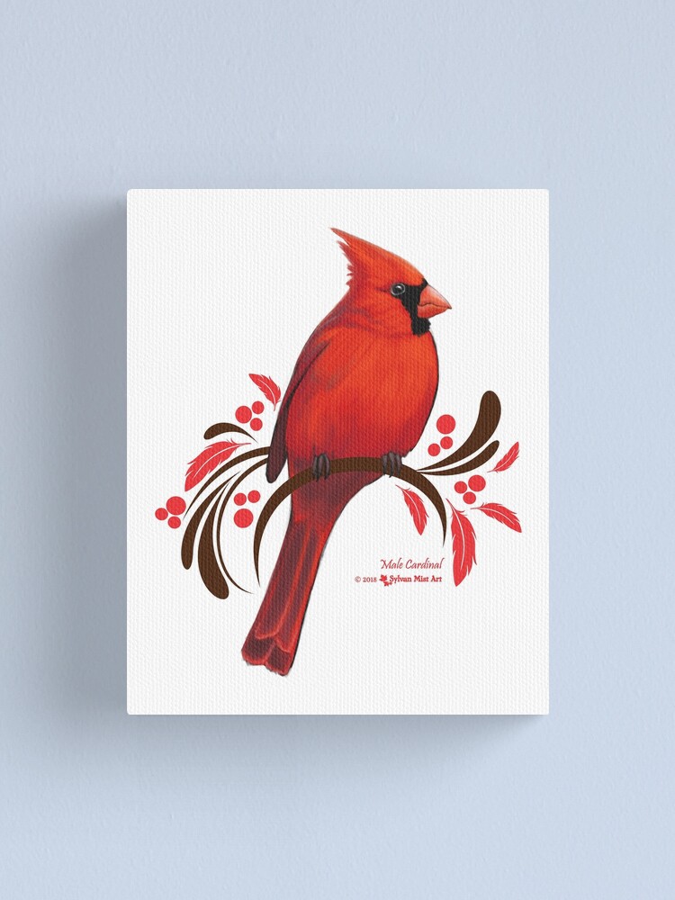 Cardinal Canvas
