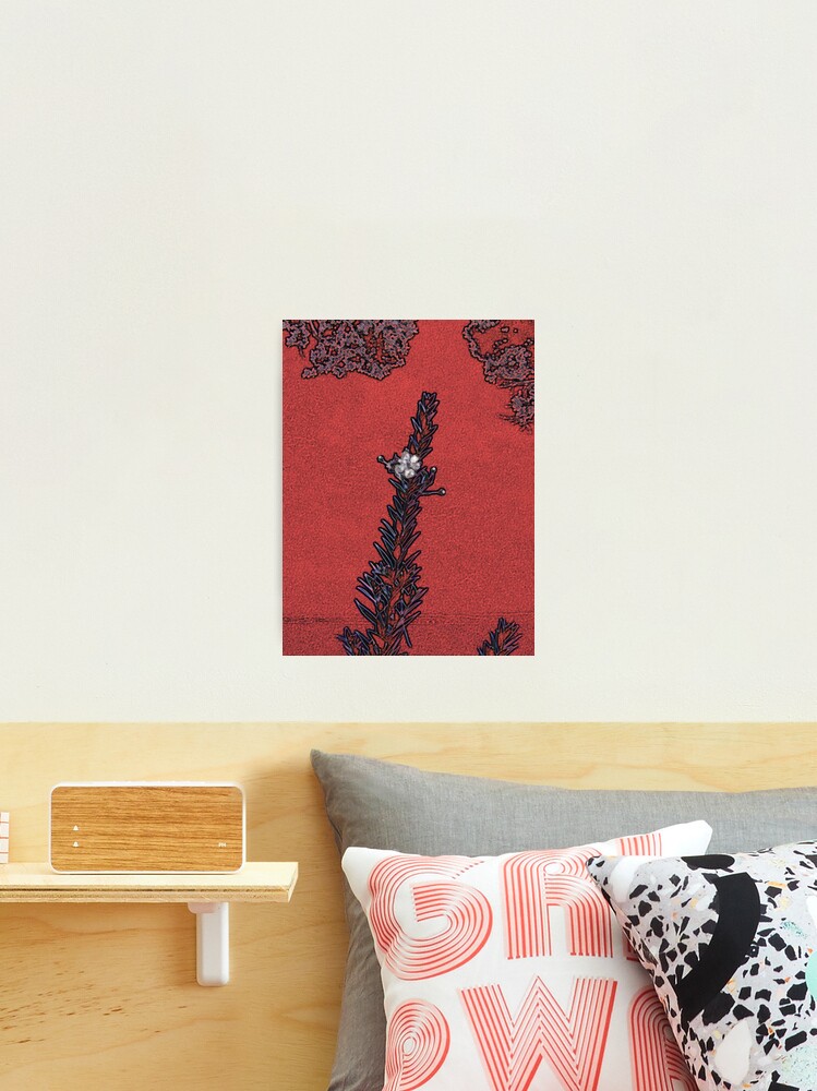 Thumbnail 2 of 3, Photographic Print, IN BLOSSOM designed and sold by TatianaMichaela.