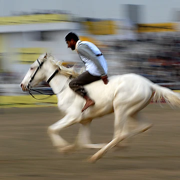 Artwork thumbnail, SOLO RIDER by RakeshSyal