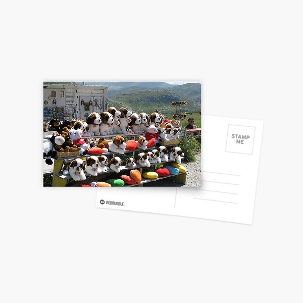 Plush puppies for sale Postcard