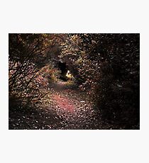 The Fantasy of Tweed Photographic Print