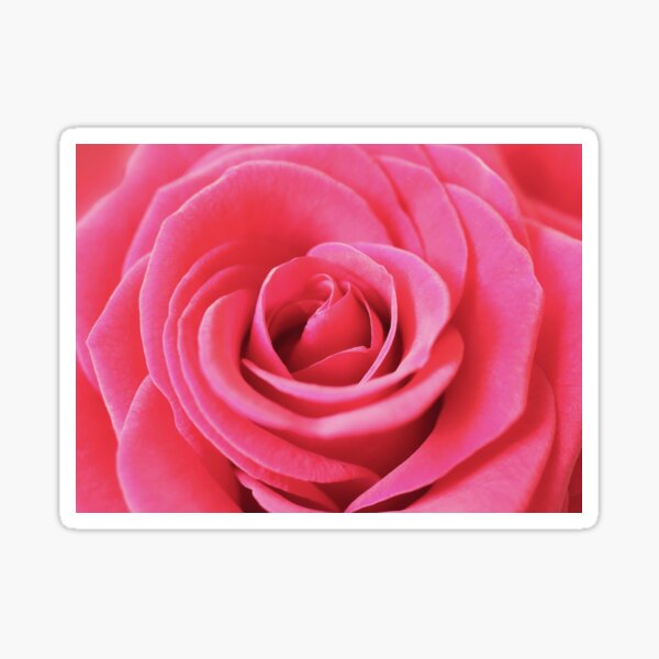 Red Whispers Sticker