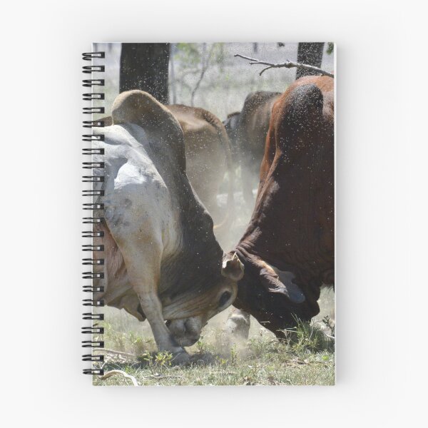 Item preview, BULL FIGHT  IN THE OUTBACK designed and sold by Barbara Jean Photo Art And Design.