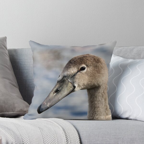 Item preview, Juvenile swan designed and sold by GreyFeatherPhot.