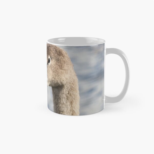 Item preview, Juvenile swan designed and sold by GreyFeatherPhot.