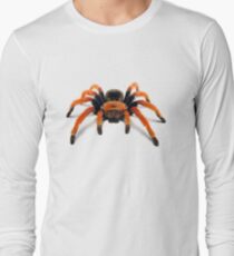 Mexican Beauty Tarantula Spider Long Sleeve T-Shirt