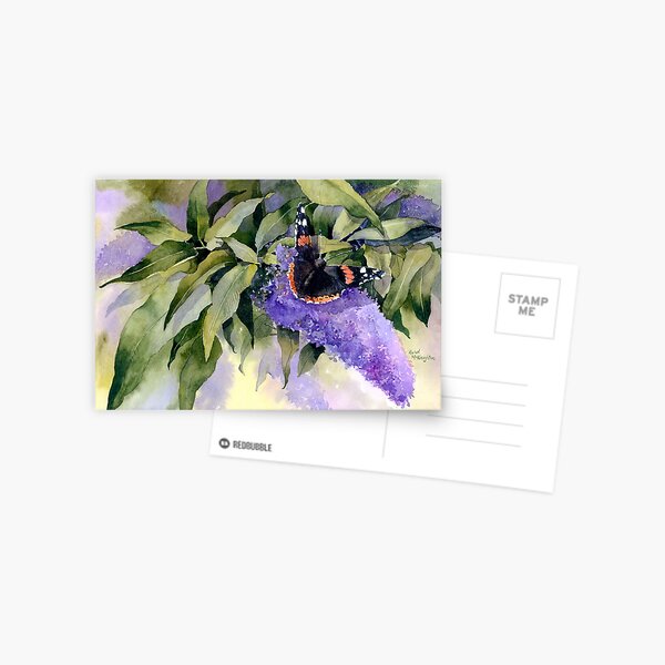 Buddleia with Red Admiral Butterfly Postcard