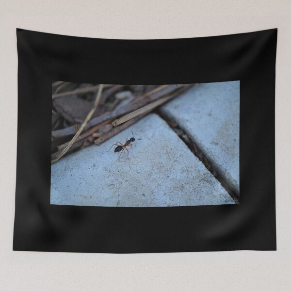 Item preview, The Lonely Road of the Solitary Ant designed and sold by MelRazor.