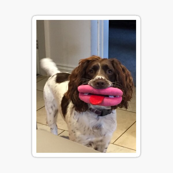 Lucky Lips Sticker