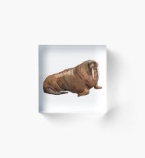Walrus Acrylic Block