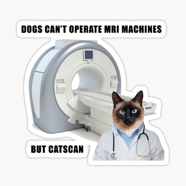 CAT SCAN Sticker