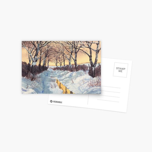 Tunnel of Trees in Winter Postcard