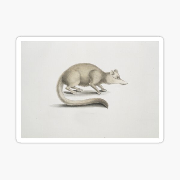 Item preview, Small Mammal designed and sold by Vintage Designs +.