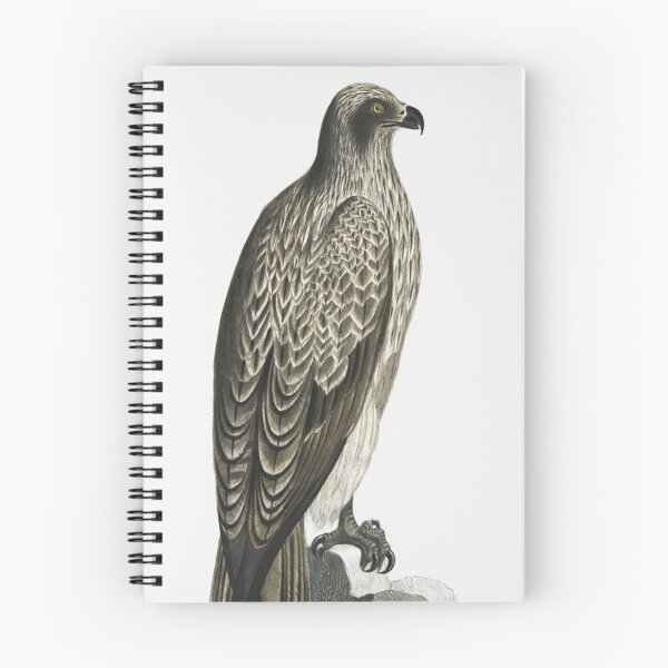 Item preview, Falcon designed and sold by Vintage Designs +.
