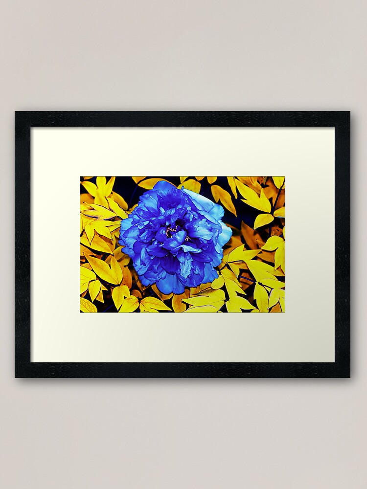 Alternate view of Flower Abstraction Framed Art Print