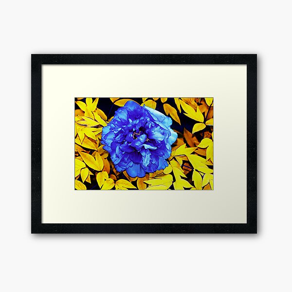 Flower Abstraction Framed Art Print