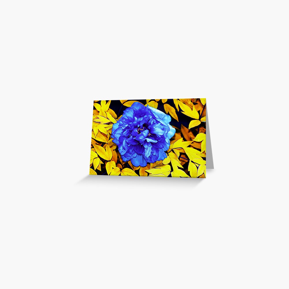 Flower Abstraction Greeting Card