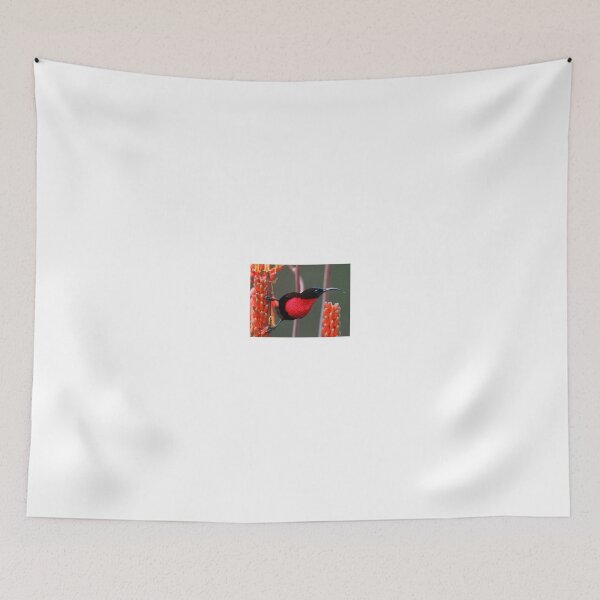 Item preview, Scarlet Chested Sunbird designed and sold by Anthony Goldman.