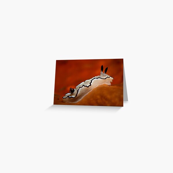 Item preview, White on Orange designed and sold by daveharasti.