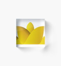 Loto Acrylic Block