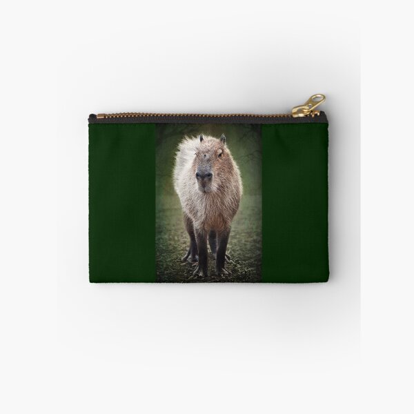 Item preview, Capybara designed and sold by Lissywitch.