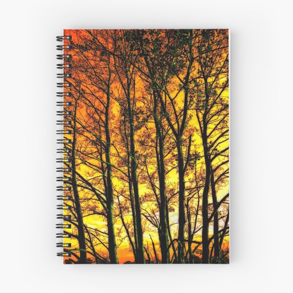 Item preview, Sunny Day designed and sold by Photography & Emotive Ai.