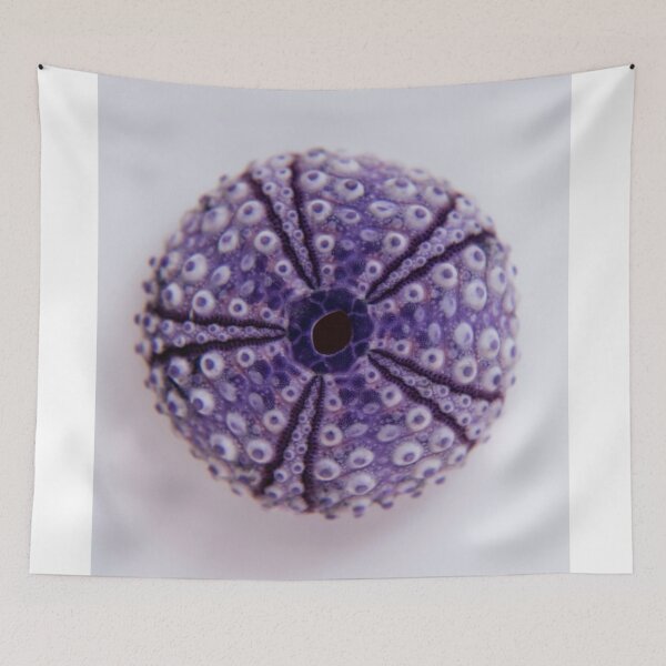 Item preview, purple urchin I designed and sold by TessAndre.