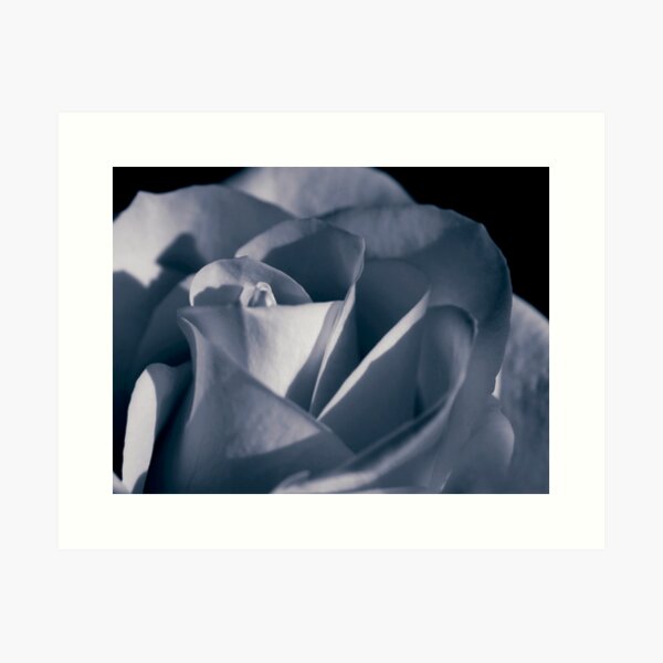 just one more rose Art Print