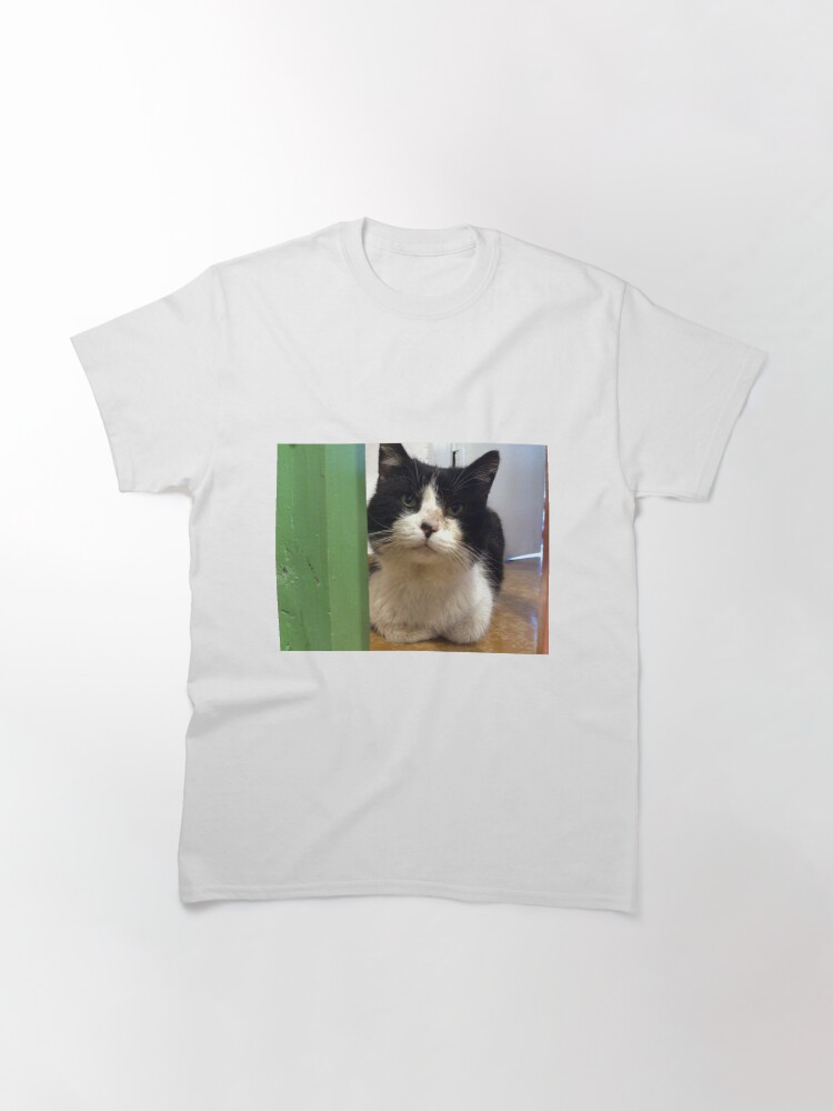 Alternative Ansicht von Kater Teddi Classic T-Shirt