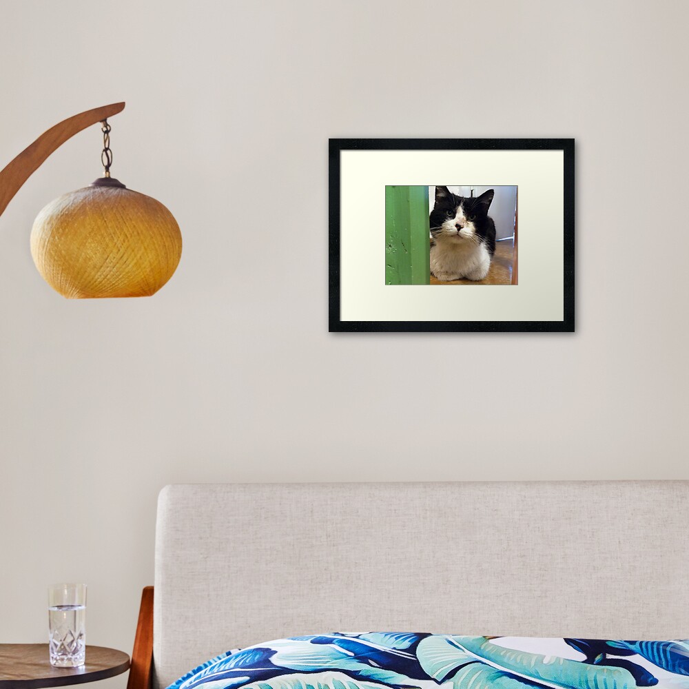 Kater Teddi Gerahmter Kunstdruck