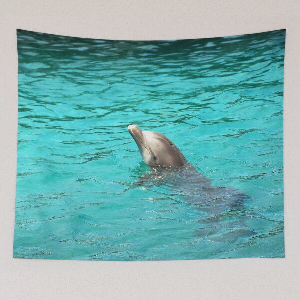 Item preview, Dolphin Play designed and sold by Sharon Schwalbe.