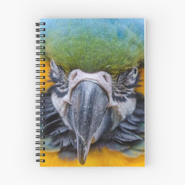 Item preview, Parrot closeup designed and sold by photosbygemmad.