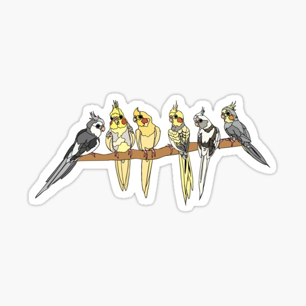 Cockatiel flock Sticker