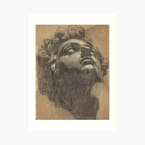 Head of Giuliano de' Medici by Tintoretto Art Print