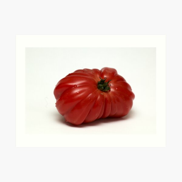 Montserrat Tomato Art Print