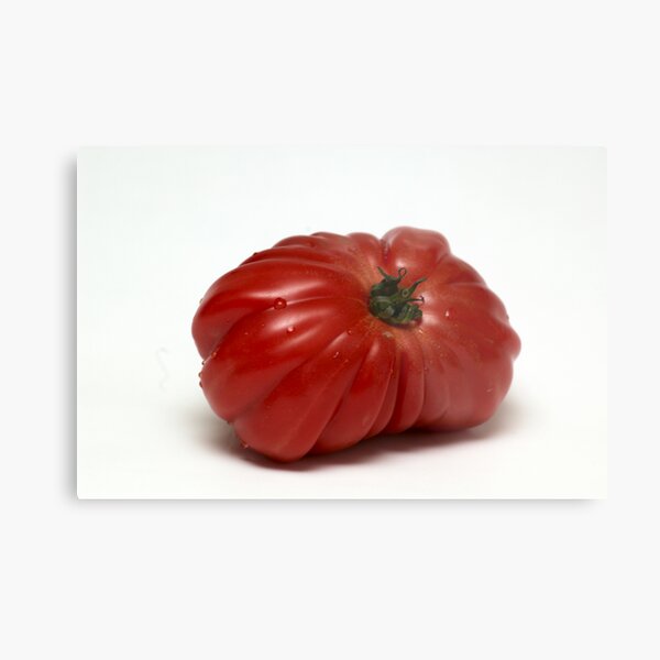Montserrat Tomato Metal Print