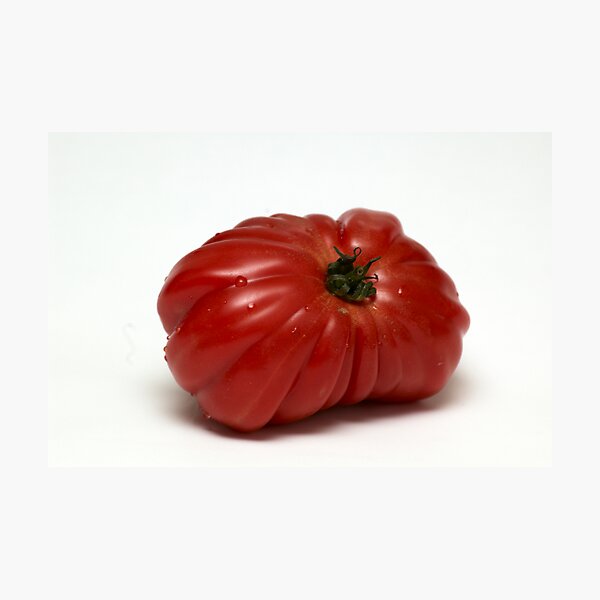 Montserrat Tomato Photographic Print