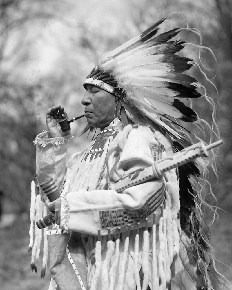 Flathead indian