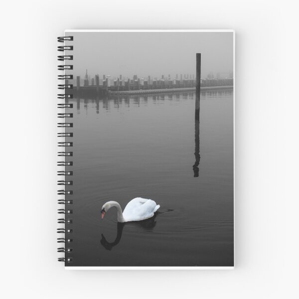 Item preview, Quiet swan designed and sold by Frank Parisi.