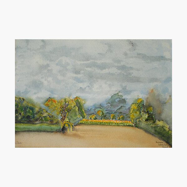 Item preview, The French Watercolors:  Tournesols, Boesse designed and sold by Phyllis Dixon.