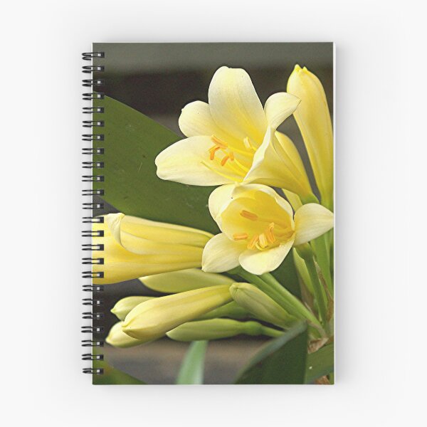 Item preview, Charming Clivias.........!!! designed and sold by Roy  Massicks.