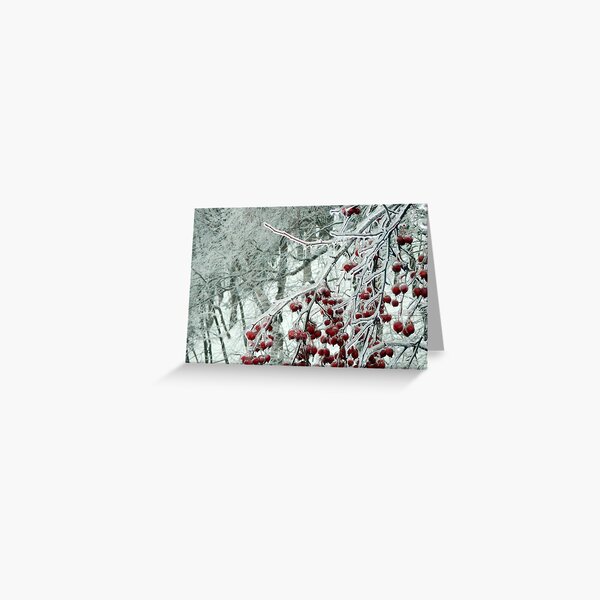 Frozen I by Isabelle Fraser Greeting Card